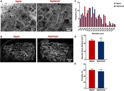 Mimicking the Organic and Inorganic Composition of Anabolic Bone Enhances Human Mesenchymal Stem Cell Osteoinduction and Scaffold Mechanical Properties